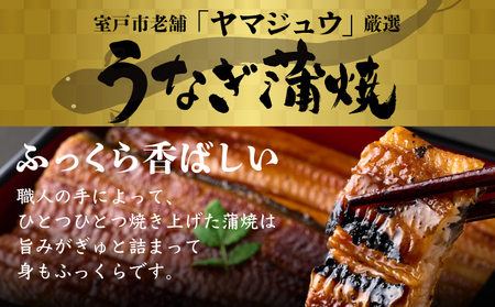 うなぎ蒲焼き 2尾 定期便 3回 うなぎ yj046