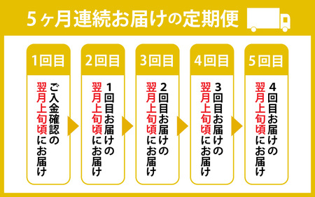 【5ヶ月 定期便】今庄 生そば 10食セット  つゆ付 福井県 越前そば
