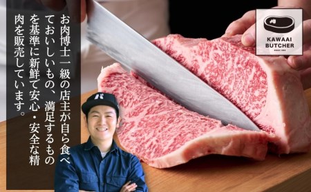 和牛入り 自家製 ハンバーグ 10個 肉 牛肉 福島県 田村市