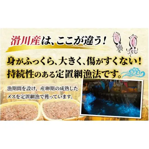 【先行予約】ボイル ほたるいか【27年3月中旬以降発送】 カネツル砂子商店 