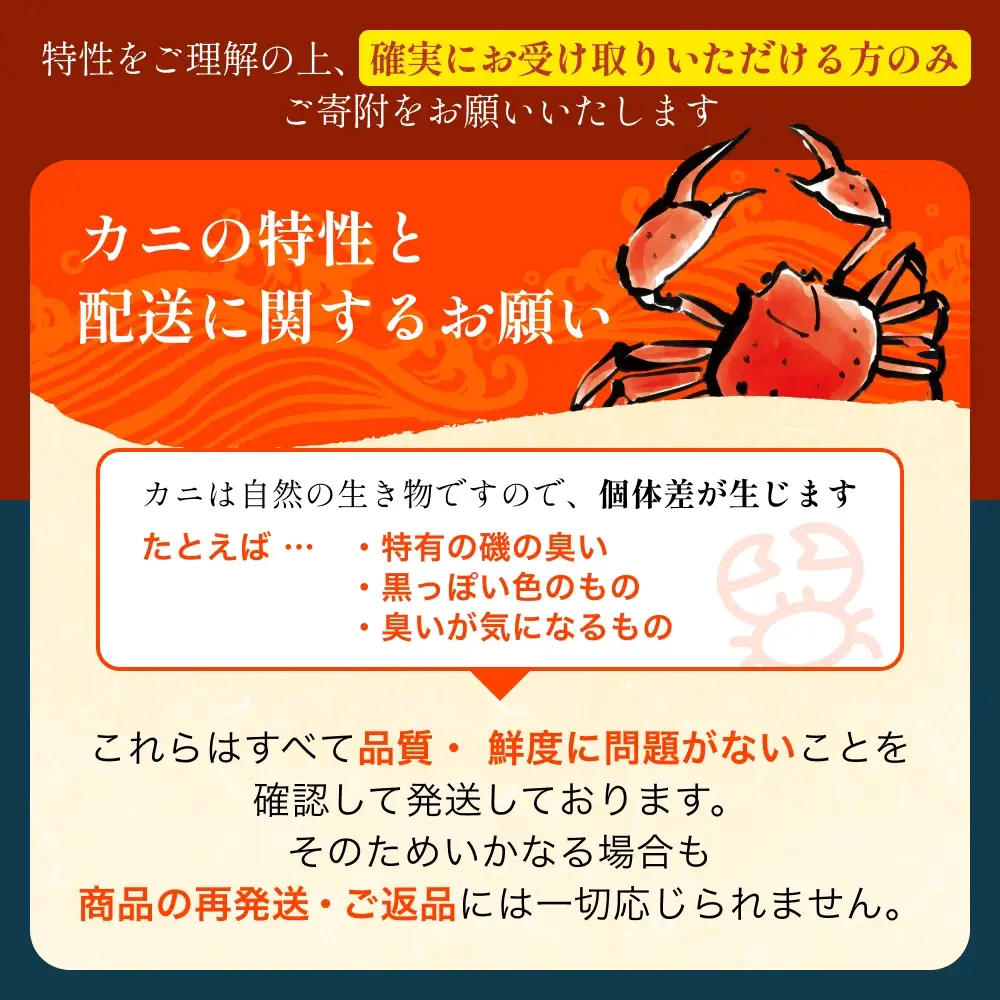【先行予約】 ボイル紅ズワイガニ【26年10月以降順次発送】 | 蟹 カニ ズワイ