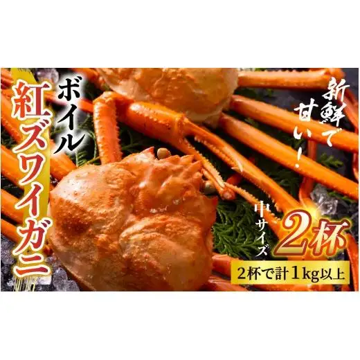 【先行予約】ボイル紅ズワイガニ 冷蔵配送 【26年10月以降順次発送予定】川村水産【紅ズワイガニ カニ ズワイガニ 紅ずわいがに かに ずわいがに 北陸 ゆで 蟹 ずわい  茹で蟹 ボイル 2杯 1kg 】