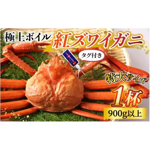 【先行予約】タグ付き 極上 ボイル紅ズワイガニ 川村水産 | 蟹 カニ ズワイ