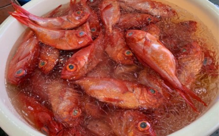 ≪土佐沖獲れ≫　高級魚『金目鯛』まるごと２匹（冷蔵）
