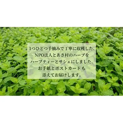 とあさ村ハーブレターセット