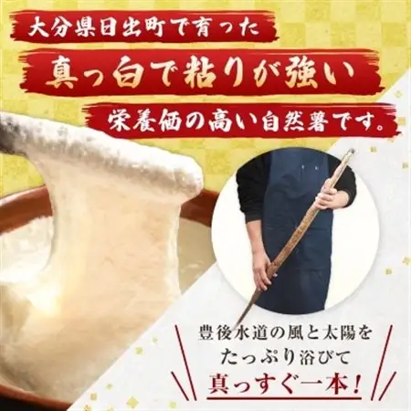 【数量限定】日出町産自然薯「ねばりごし一本」 (800g)_野菜 自然薯 根菜 じねんじょ ジネンジョ_【1134764】