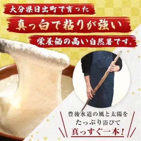 【数量限定】日出町産自然薯「ねばりごし一本」 (1kg)_野菜 自然薯 根菜 じねんじょ ジネンジョ_【1134765】