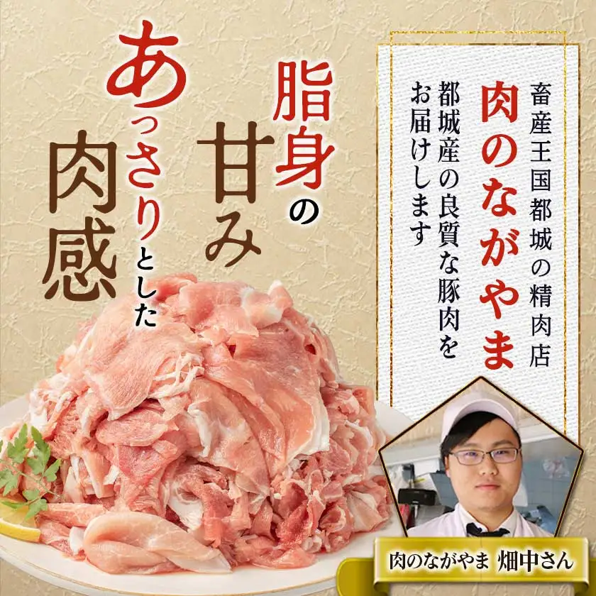 黒豚ウデ・モモ切り落とし3.6kg〔MJ-2520〕_ (都城市) 豚肉 都城産黒豚ウデ・モモ切落し肉 300g×12パック 計3.6キロ ポーク 冷凍 小分けパック おかず 野菜炒め 肉じゃが 生姜焼き カレー 国産