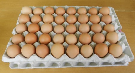 平飼い・有精卵　あさひのたまご　70個+破卵保障10個入り [h001]