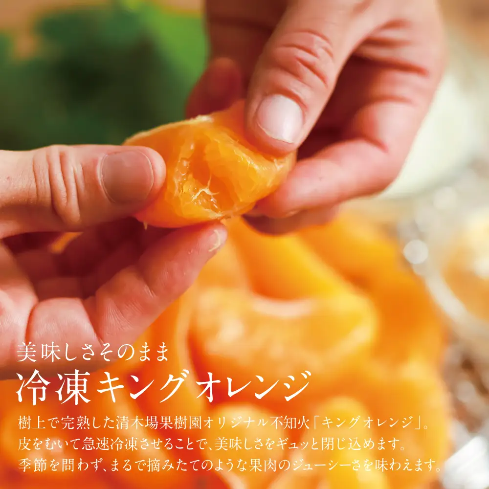 【南さつま市産】冷凍キングオレンジ（不知火）1kg（500g×2） スイーツ アイス 果実 果肉 素材そのまま まるごと デザート おやつ 食後 小腹 ひんやり 皮むき不要 お菓子作り 冷凍みかん 完熟 皮なし 急速冷凍 柑橘 フルーツ フローズン 果物 涼感 ヨーグルト ゼリー 楽ラク 調理 果汁