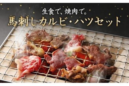 馬刺し カルビ 心臓(ハツ) 切り落とし 600g セット 馬肉 冷凍