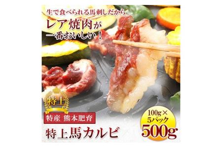 特上 馬 カルビ 合計500g 100g×5パック 刺身 焼き肉 馬肉