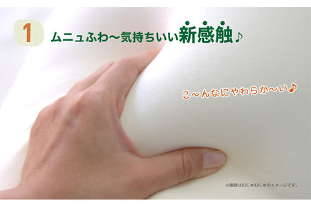 王様の抱き枕 標準サイズ（ライトグリーン）超極小ビーズ抱きまくら