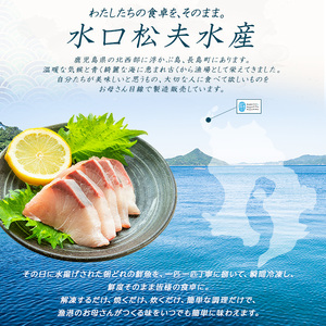 長島の鯛めし4合用_kuriya-7192R8