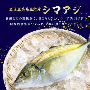 鹿児島県長島町産 シマアジ (約1.0kg・1匹) シマアジ 鹿児島 鮮魚 一匹 柵 刺身 切り身 高級あじ 高級魚【JFA】jfa-7145