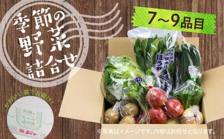 【令和8年産】（2026年6月中旬～10月下旬順次発送予定）飛騨の野菜お任せセット 7～9品目 | セット 野菜 夏野菜 秋野菜 やさい おまかせ お取り寄せ 新鮮 産地直送 飛騨産 夏 秋 サラダ 飛騨高山 あじかファミリー GN001-26