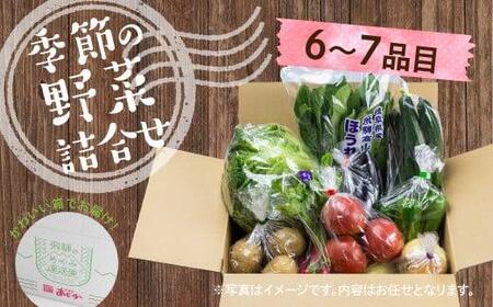 【令和8年産】（2026年6月中旬～10月下旬順次発送予定）飛騨の野菜お任せセット 6～7品目 |  セット 野菜 夏野菜 秋野菜 やさい おまかせ お取り寄せ 新鮮 産地直送 飛騨産 夏 秋 サラダ 飛騨高山 あじかファミリー GN002-26