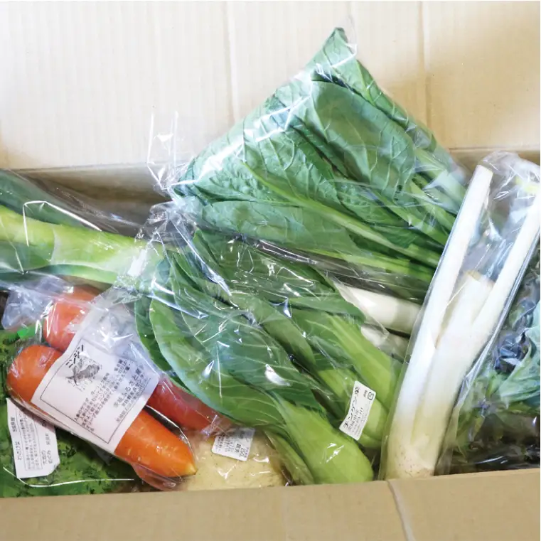 04-07【6ヶ月定期便】阿見町産野菜ボックス詰め合わせセット（7～8品）【新鮮 美味しい EM菌 減農薬 有機肥料 阿見町 茨城県】