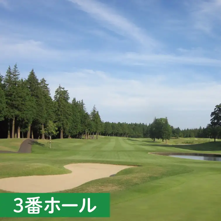 30-02 阿見ゴルフクラブプレーご招待券（平日4名様）【ゴルフ プレー券 ゴルフ場利用券 阿見町 茨城県】