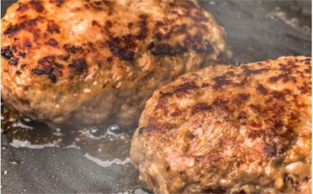 おおいた和牛と大分県産豚を使った大分プレミアムハンバーグたっぷり1.6kg！（160g×10個）_1821R