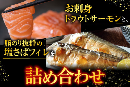 お刺身トラウトサーモン1.5kg、塩さばフィレ1枚×20P C-09021