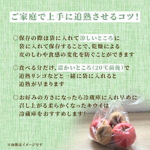 【11月中旬発送】キウイフルーツ ヘイワード キウイ 5kg 国産 船橋市産 やまちょう園 選べる発送時期 期間限定 数量限定 限定 先行予約 果物 フルーツ