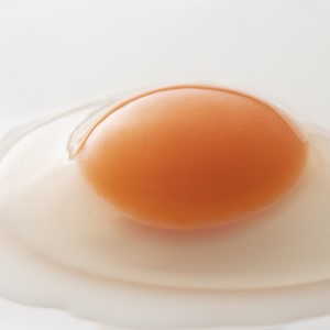 生で食べて美味しい　幸せの青いたまご　アロウカナ　30個セット　奈良養鶏園　農場HACCP認証　船橋産　希少　卵　玉子　鶏卵　たまごかけご飯　TKG