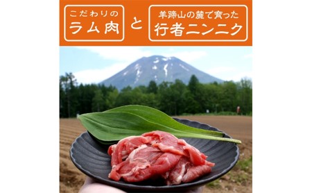 ジンギスカン 羊蹄行者 ラム肉 レンジ調理 ジンギスカン【6パック】【冷凍】