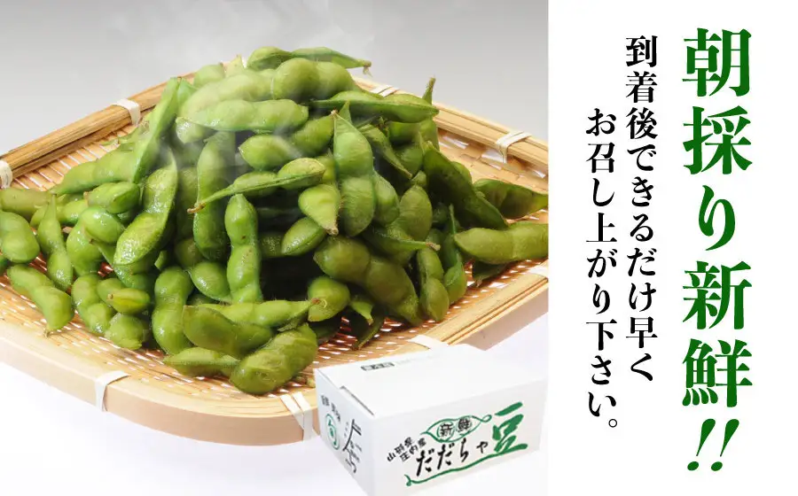 【令和8年産】成澤農園の鶴岡特産 だだちゃ豆 2kg(500g×4袋)　枝豆　山形県鶴岡市　K-831　| だだちゃ豆 枝豆 えだまめ 豆 2キロ 夏の味覚 おつまみ 旬の野菜 期間限定 名産品 ビールのお供 手土産 山形県 庄内 東北 返礼品