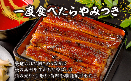 リピート続出！特選特大サイズ520g以上 こだわり職人の手焼(蒲焼1尾・白焼2尾)・Y067-23