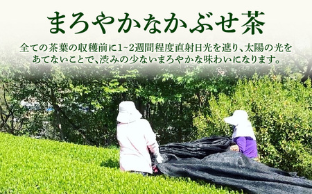 ＜西尾市吉良町＞かぶせ茶の里　お茶のながや 伝統銘茶　特上かぶせ茶200g・上かりがね200g・O023-125