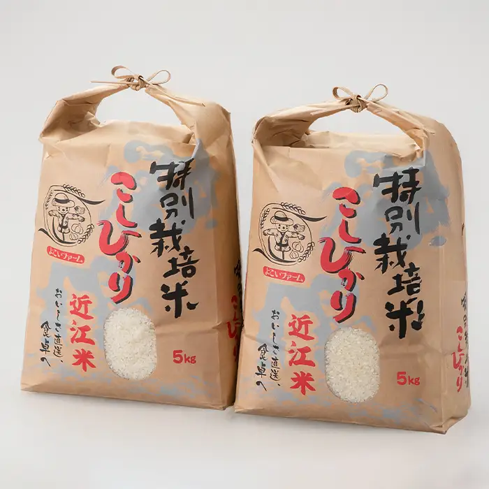 【C-546】よこいファーム 特別栽培米コシヒカリＡ　10kg（5kg×2） ［高島屋選定品］
