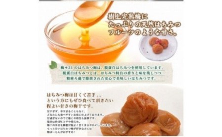 はちみつ梅850g【紀の里食品】 / 梅 梅干し 梅干 はちみつ【kns004A】