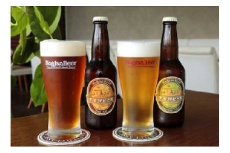 ナギサビールの定番商品2種（330ml×30本）飲み比べセット  / ビール お酒 酒 クラフトビール【ngs004】