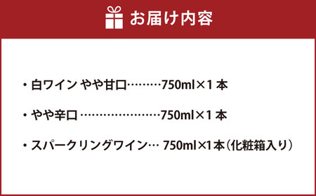ふなおワイナリー マスカット・オブ・アレキサンドリア 3本詰合せ（やや甘口・やや辛口・やや甘口（スパークリングワイン）） 750ml×3本【ワイン スパークリングワイン ふなおワイナリー お酒 酒 さけセット商品 岡山県 倉敷市 人気 おすすめ】