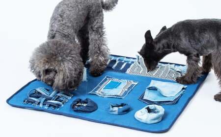 愛犬用多機能遊具「デニマット」【ペット用品 ペット 愛犬 犬 いぬ おもちゃ 遊具 岡山県 倉敷市 おすすめ 人気】