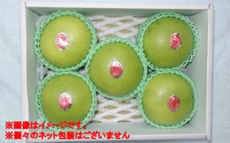 届いてすぐに食べられる 完熟 温室 水晶 文旦 5～6玉［1404-3］