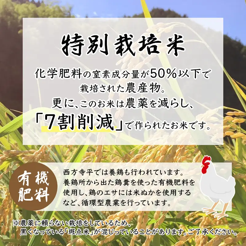 令和8年度産 新米 予約受付 棚田米 5kg 精米 コシヒカリ 特別栽培米 7割削減  白米
