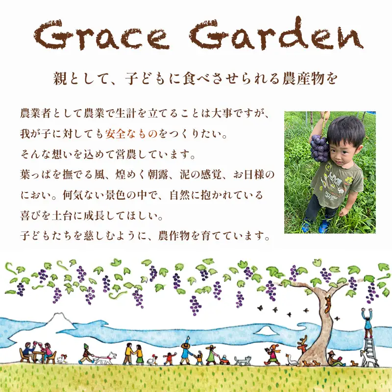 【数量限定/9月発送】 西方寺ぶどう 4-5房（ ピオーネ / シャインマスカット ） 2kg以上