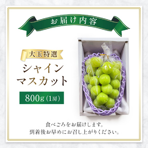 シャインマスカット 大玉 特選 シャインマスカット 800g ぶどう