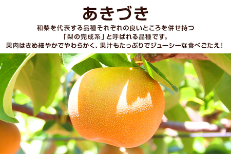 あきづき 梨 5kg 柴沼梨園 BX-003