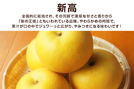 柴沼梨園の梨（新高） 梨 5kg 大玉 6～14個入り 先行予約【9月下旬～10月上旬発送】 BX-005