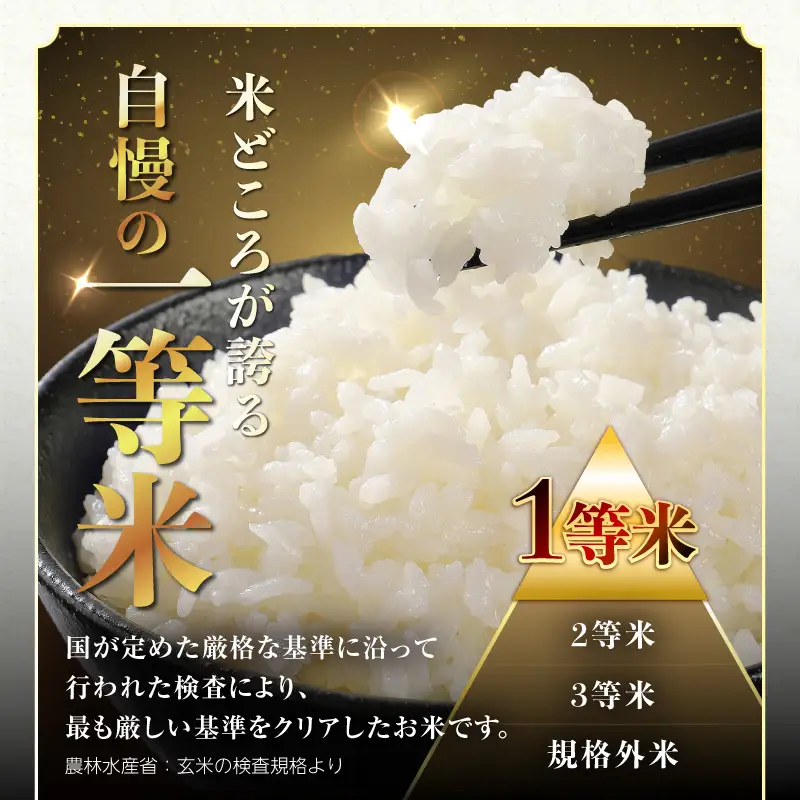 3人に1人がリピーター!☆全12回定期便☆ 岩手ふるさと米 10kg(5㎏×2)×12ヶ月 令和7年産 一等米ひとめぼれ 東北有数のお米の産地 岩手県奥州市産【配送時期に関する変更不可】 [U0171]