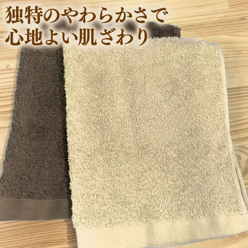 ナチュレル 泉州ハンドタオル10枚（ブラウン系）