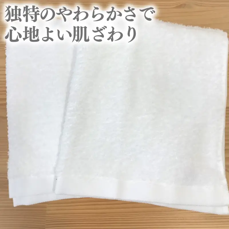 ナチュレル 泉州ハンドタオル10枚（ホワイト）