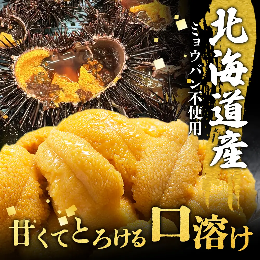 北海道産 塩水ウニ 200g  (100g×2パック） 【6月上旬から8月中旬発送予定】【0211802】