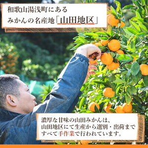 【2026年先行予約】山田みかん 秀品 約5kg (S・M・Lサイズいずれかおまかせ)_AM6001n