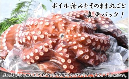 船上活き締め！ゆでたこ丸ごと約1kg（約1～4杯）_1812R
