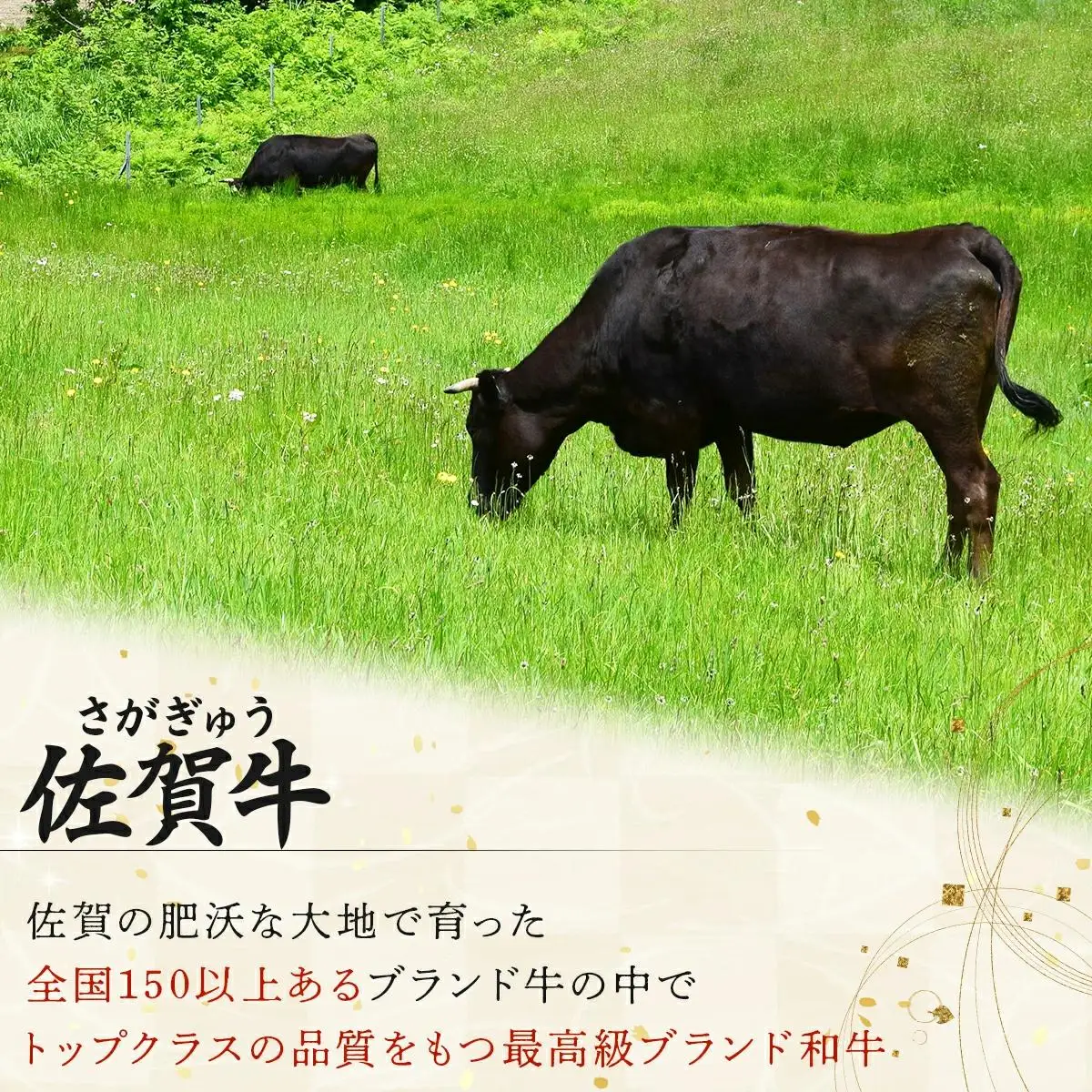 佐賀牛しゃぶしゃぶ･すき焼きｾｯﾄ(年4回) I-84