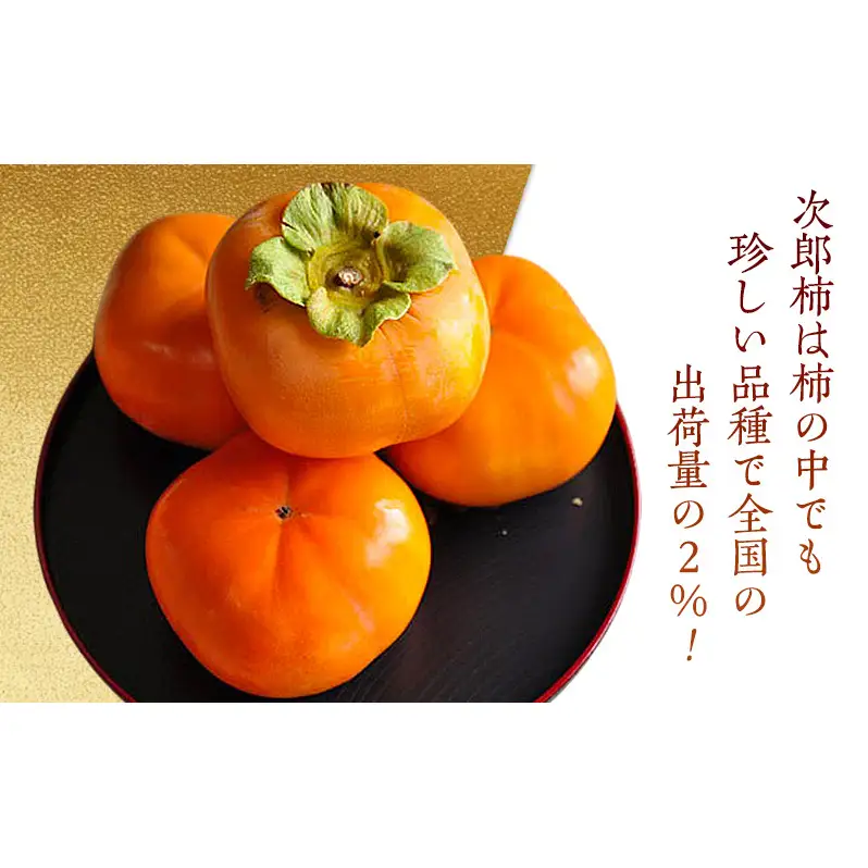 【2026年11月中旬より順次発送】【秋の味覚】幻の柿 次郎柿！木成り完熟の逸品24～28個入り（6kg） 果物 フルーツ かき 冬の味覚 産地直送 静岡県産 浜松市産 